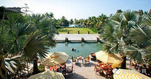 近十年休閑農業旅游實戰項目梳理與經典策劃全解析